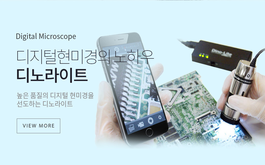 디노라이트